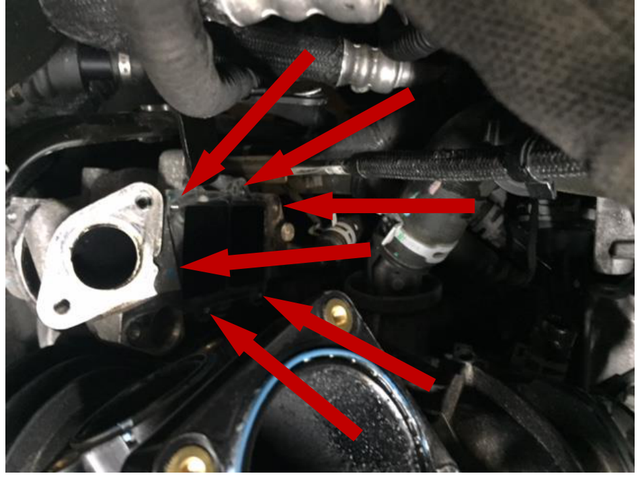 Remove the EGR cooler from the EGR housing