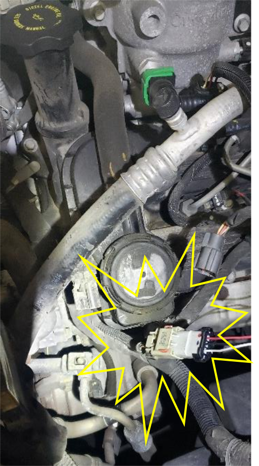 Plug the switch into the engine harness and blank the empty connector