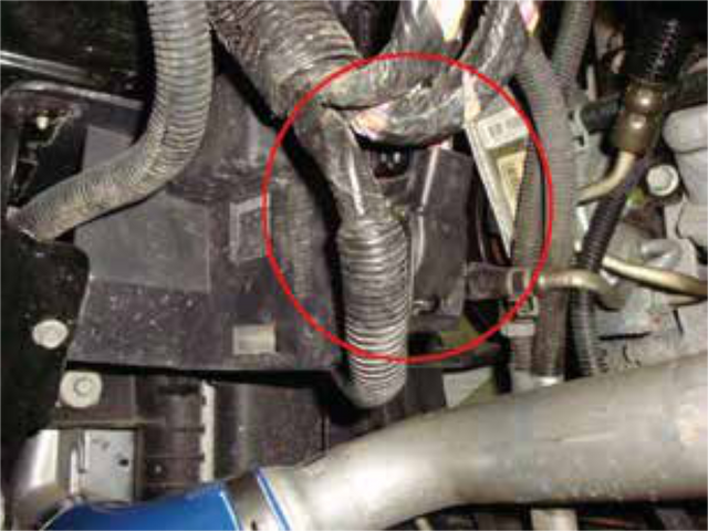 Locate the ECM plug