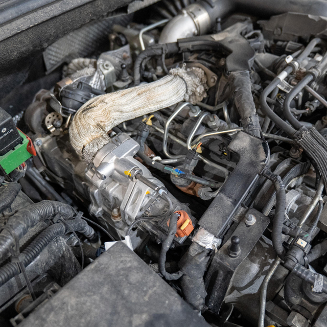 Cool down, disconnect the battery, drain the coolant, and disconnect the EGR