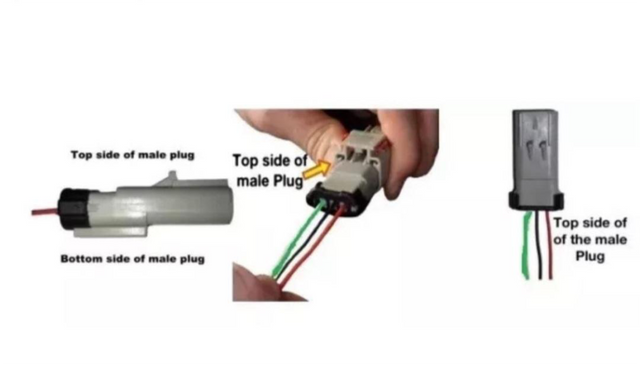 Pin the switch wires into the grey plug