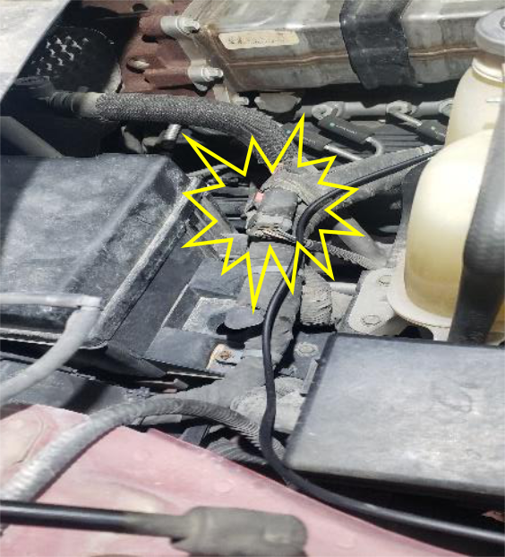 Connect the Auto Agent through the EZ Lynk cable